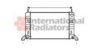 VAN WEZEL 18002077 Radiator, engine cooling